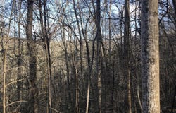 450 Holder Cemetery Rd, Tellico Plains, TN 37385