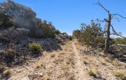 35 ALTA Court, Edgewood, NM 87015