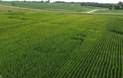 21 Acres Timber Avenue, Bloomfield, IA 52537