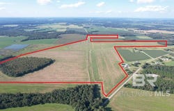 5700 Block Pine Forest Road, Walnut Hill, FL 32568