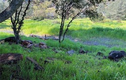 17282 Greenridge Road, Hidden Valley Lake, CA 95467