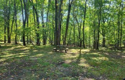 5462 Oak, Farwell, MI 48622