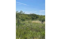 912 O D Lane, Coleman, TX 76834