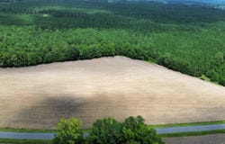Blazing Trail Rd lot: 4, Timmonsville, SC 29532