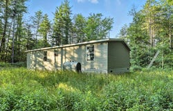 282 Stone Quarry Rd., Lockwood, NY 14859