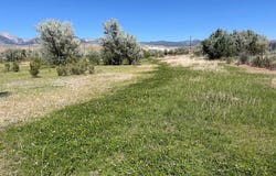 Tbd Hawk Road, Salmon, ID 83467