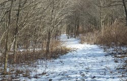 14944 Gilmore Road SE, Port Washington, OH 43837