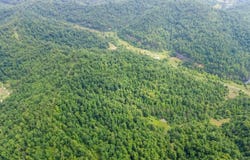 14 Lewis and Collins Road, Manchester, KY 40962