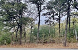 2 Carolines Way, Orleans, MA 02653