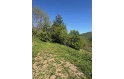 Westwood Acres Drive, West Jefferson, NC 28694
