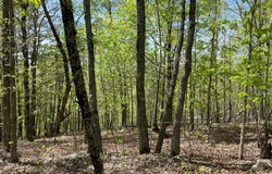 0 County Road 418, Piedmont, MO 63957