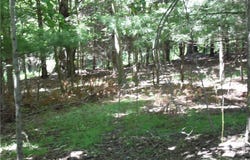 Tbd Hickory View Drive, Sparta, NC 28675