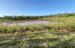 0000 FM 1609, Snyder, TX 79549