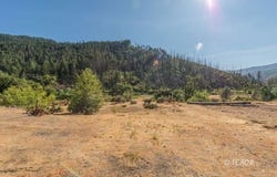 38550 State Hwy 299, Junction City, CA 96048