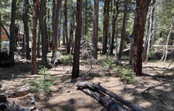 Alpine Lake Way Lot 3 Blk E, Angel Fire, NM 87710-0000
