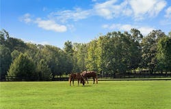 75 Rivercreek Crossing, Kingston, GA 30145