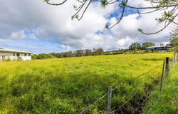 29-605 CHIN CHUCK RD, Hakalau, HI 96710