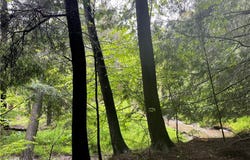 Walker Road, Bemus Point, NY 14712