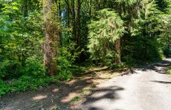 E Zig Zag River Rd, Rhododendron, OR 97049