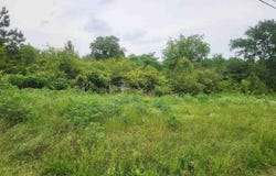 Clarksville, AR 72830