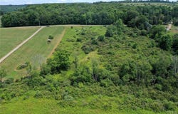 County Route 46, Dansville, NY 14437