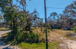 116 NE First Ave, Steinhatchee, FL 32359