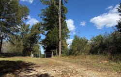 650 CR 4683, TIMPSON, TX 75975