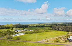 29-605 CHIN CHUCK RD, Hakalau, HI 96710