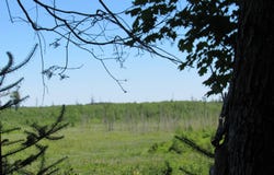 TBD County FL Road, Champion, MI 49814