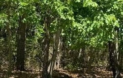 00 Hanover Road, Jackson, NJ 08527
