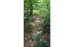 Pricer Ridge Rd, South Salem, OH 45681