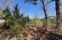 Pine Bluff, AR 71603
