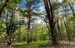 706 Church Rd, Glen Wild, NY 12738