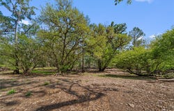 615 NE 904 Street, OLD TOWN, FL 32680