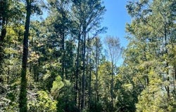 0 CENTRAL AVENUE, MONTEVALLO, AL 35115