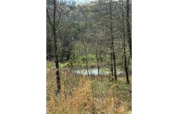 6043 Kyles Ford (23 acres) Highway, Kyles Ford, TN 37765