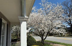805 Longwood Avenue, Bedford, VA 24523
