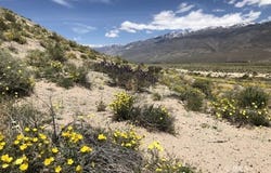 000 Pumice Mill Road, Chalfant Valley, CA 93514