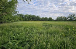 32nd Street, Grinnell, IA 50112