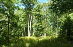 Scandia Drive N, Bemus Point, NY 14712