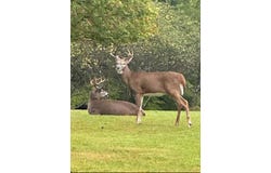 280 Dodd Rd, Windsor, NY 13865