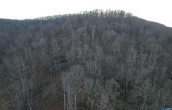 100 AC Dry Creek Road, Hollytree, AL 35751