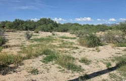 1227 N Pomerene Road, Benson, AZ 85602