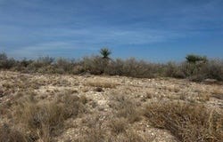 12263 N US HWY 277, Eagle Pass, TX 78852