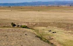 CR 82, Wellington, CO 80549