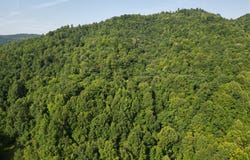 0 McKayla Circle, Williamsburg, KY 40769