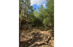 Tahitian Dr lot: 1338 And 1339, Bastrop, TX 78602