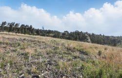 Lot 17B W Minnesota Street, Rapid City, SD 57701