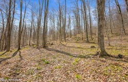 L9.114 Lutheranville Road, Summit, NY 12175