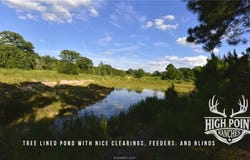 Ranch Road off CR 405 (+/- 60 acres), Lexington, TX 78947